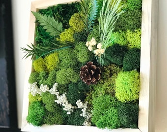 Craft Kit Gift DIY Moss Wall Art Kit DIY Craft Kit Instructions DIY Room Décor Craft Adult Christmas Holiday Craft Kit For Women Art Craft