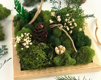 Moss Garden Kit Moss Garden Centerpiece Moss Desk Plant Moss Arrangement Desktop Garden Table DIY Moss Art Kit Living Moss Art Table Décor