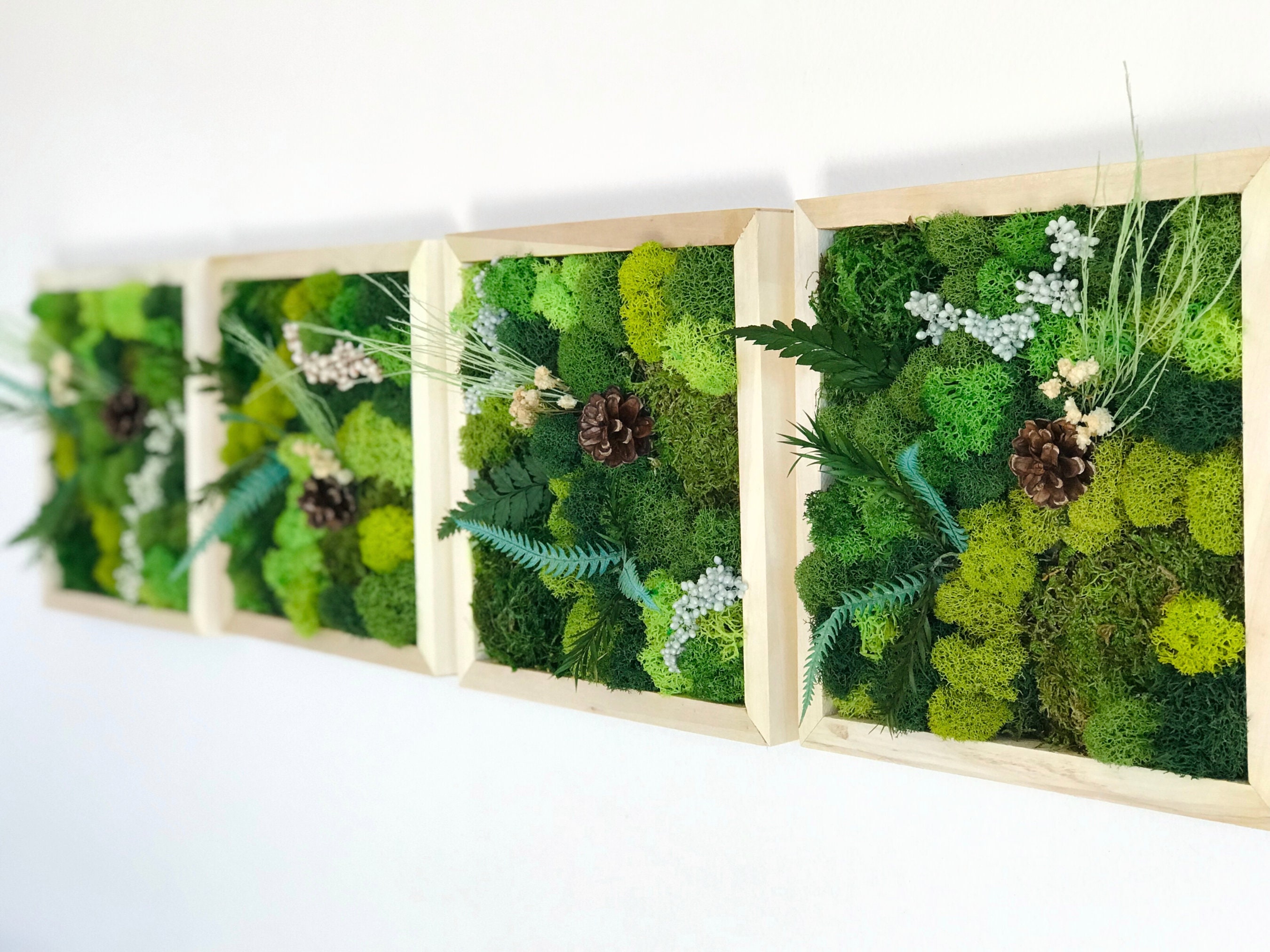 Moss Wall Art Kit 4 Piece Living Wall Kit DIY Moss Art Décor Etsy