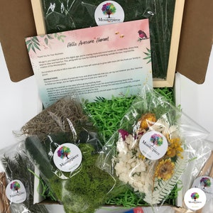 Family Craft Kit For Teens DIY Art Gift Set For Teenagers DIY Craft Therapy Box Frame Moss Art Flores Design Art Crafts Nature Inspired Room