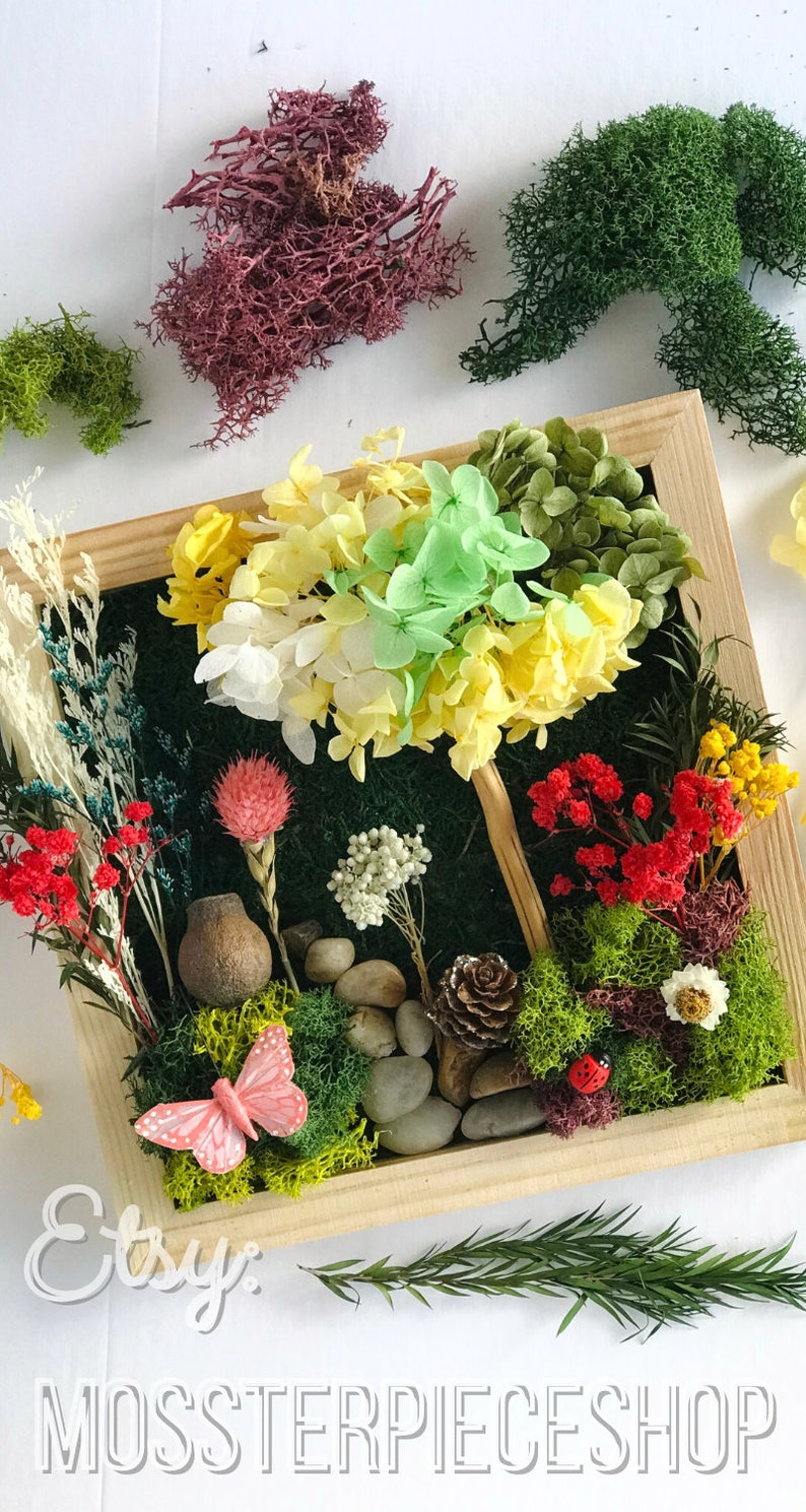 Family Craft Kit For Teens DIY Art Gift Set For Teenagers DIY Craft Therapy Box Frame Moss Art Flores Design Art Crafts Nature Inspired Room