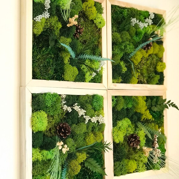 Moss Wall Art Etsy
