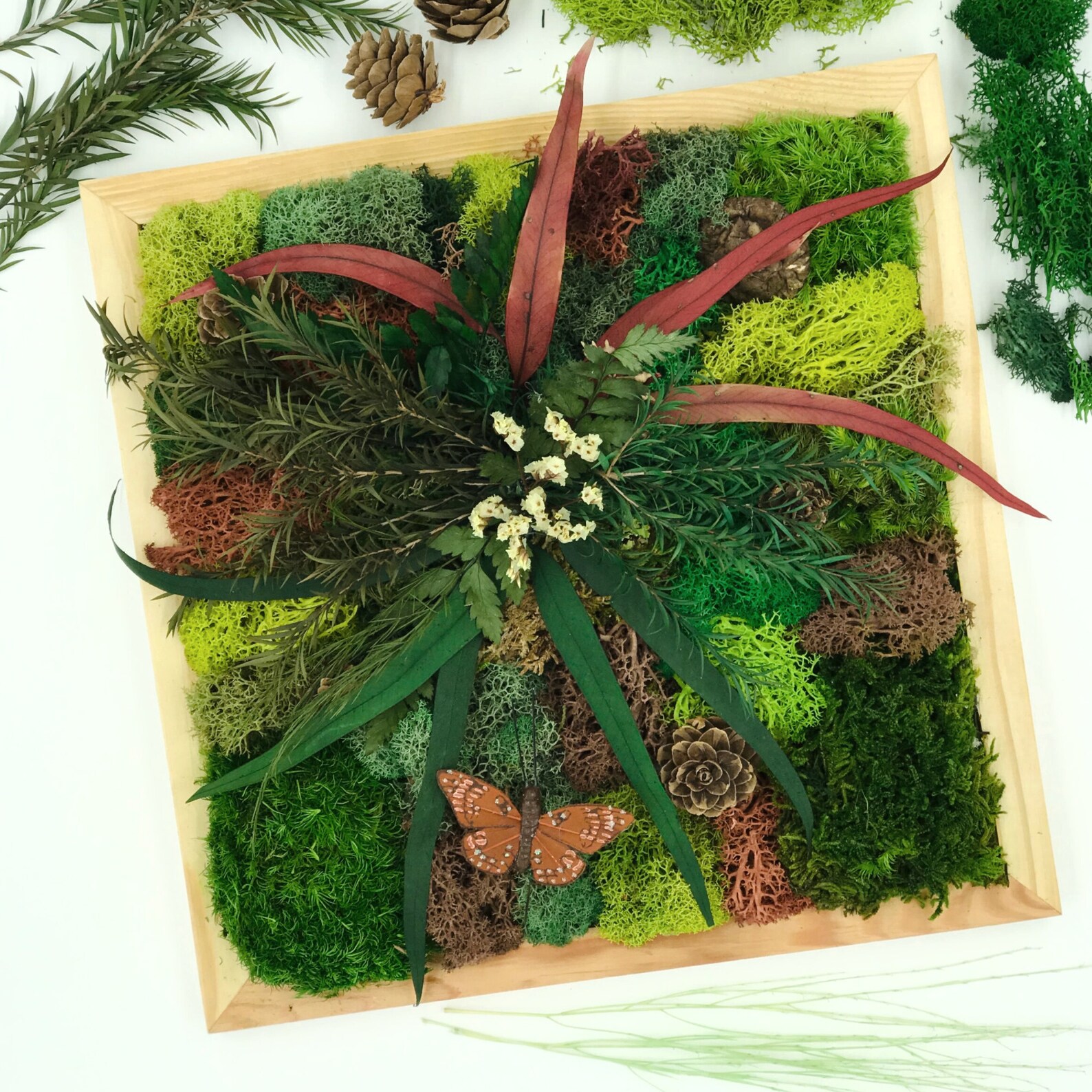 Moss Garden Kit Moss Wall Art Kit DIY Craft Gift for Women Etsy