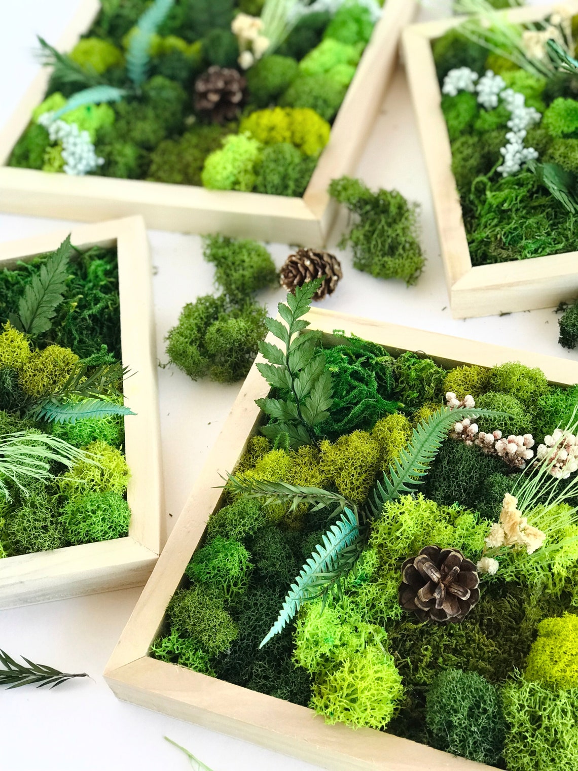 Moss Wall Art Kit 4 Piece Living Wall Kit DIY Moss Art Décor Etsy