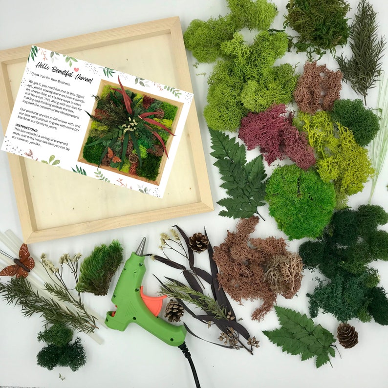 Moss Garden Kit Moss Wall Art Kit DIY Craft Gift for Women Etsy