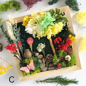 Craft Kit For Teens DIY Art Gift Set For Teenagers DIY Craft Therapy Box Frame Moss Art Flores Design Art Crafts Nature Inspired Room Decor