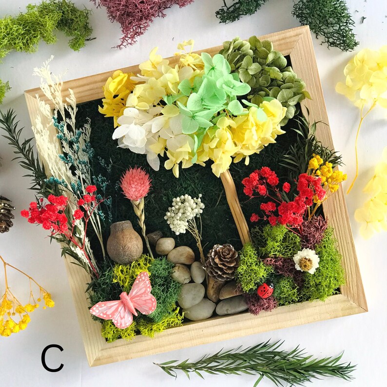 Craft Kit For Teens DIY Art Gift Set For Teenagers DIY Craft Therapy Box Frame Moss Art Flores Design Art Crafts Nature Inspired Room Decor