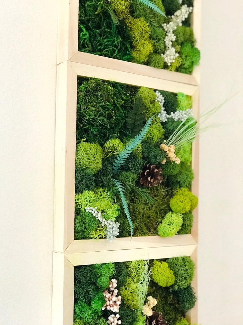Moss Wall Art Kit 4 Piece Living Wall Kit DIY Moss Art Décor Etsy