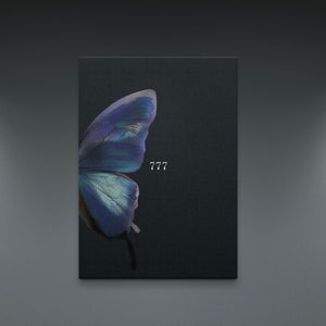 777 Butterfly Angel Number Canvas, Lucky Number Print, Manifestation Poster, Spiritual Energy Wall Art, Star Sign Astrology Poster,Aesthetic