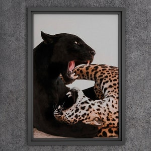 Two Jaguars Poster, Hypebeast Poster, Luxury Designer Fashion Tiger Poster, Fashion Wall Art, Designer Wall Art, Streetwear Poster