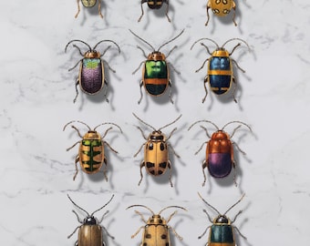 Marble Bug Collection Poster