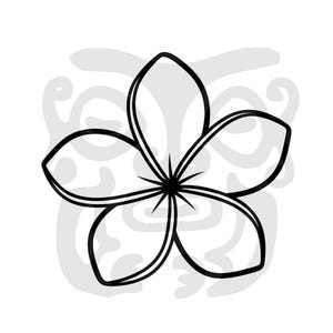 Plumeria Tropical Flower Illustration