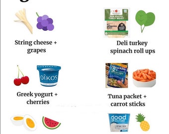 Protein Travel Guide on the Go