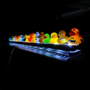 Duckwood LED dual lights bar  , the Original LED duck bar
