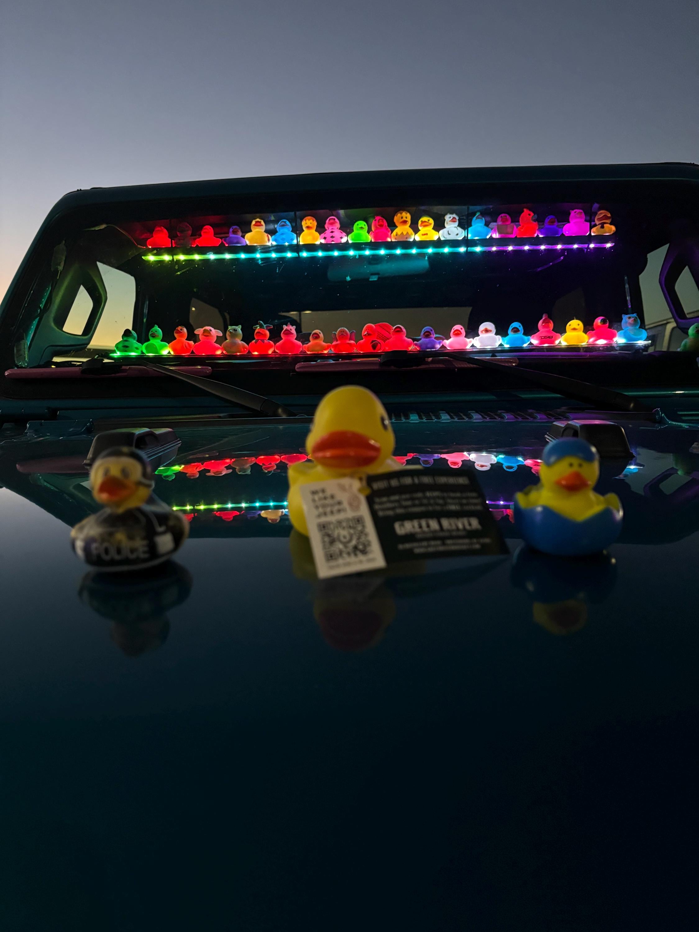 Duck Rack Display Duckwood Dual LED Duck Display Bar: 210 Color Options - Etsy