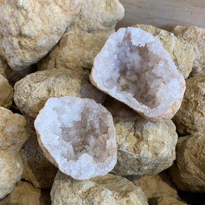 May include: Two open geodes with sparkling crystal interiors are displayed among several rough, tan-colored rocks. The geodes have a light pinkish-white crystal lining. The rough exterior of the rocks is a light tan color.