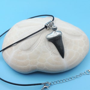 Fossilized Shark Tooth Cord Necklace