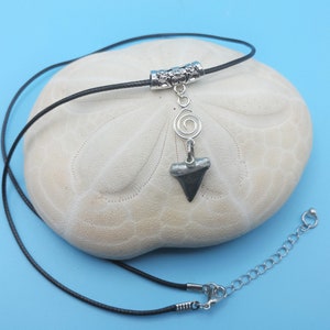 Fossilized Shark Tooth Necklace