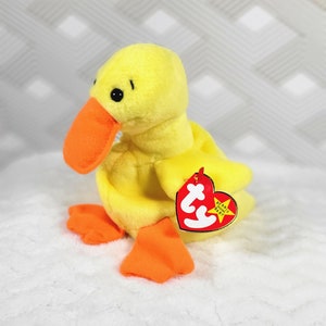 Charlatans le bébé bonnet de canard (oiseau)