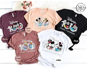 Disney 100 Years of Wonder Shirt, Disney Shirt Vacation 100 Years of Wonder Shirt, Disneyworld shirt, Disney Trip Shirt, Disney Family Shirt
