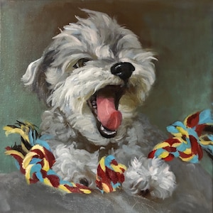 May include: An oil painting of a small, gray dog with its mouth wide open, revealing a pink tongue. The dog is surrounded by colorful rope toys in shades of red, yellow, and blue. The background is a muted green.