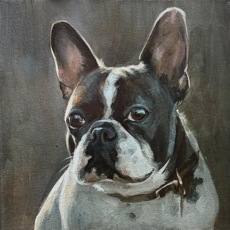 May include: Oil painting of a French Bulldog with a black and white coat, brown eyes, and large, erect ears. The dog is centered in the frame against a muted gray background. A brown collar is visible around the dog's neck.