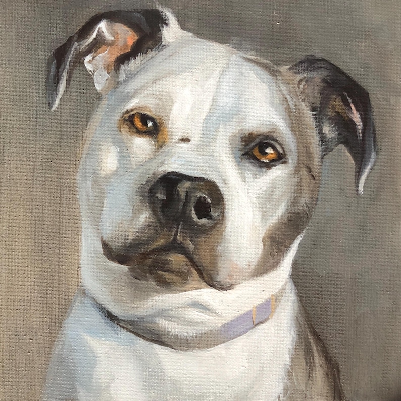 May include: Oil painting of a dog's head, featuring a white coat with gray and brown markings. The dog has amber eyes and a purple collar. The artwork is set against a neutral background, highlighting the dog's expressive face.