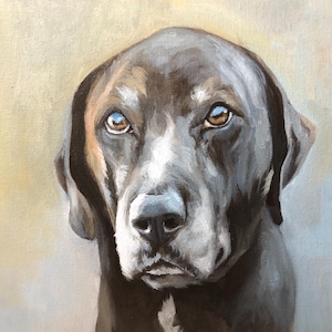 May include: A close-up oil painting of a dog's face. The dog has dark brown fur with lighter brown and white markings around the eyes and muzzle. The dog's eyes are a warm brown color, and it has a focused expression.