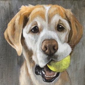 May include: A close-up painting of a dog with a yellow tennis ball in its mouth. The dog has a white and tan coat, brown eyes, and a black nose. The background is a solid gray.