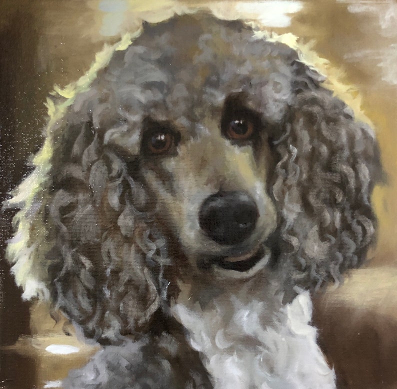 May include: Oil painting of a poodle's face, with curly gray fur and brown eyes. The dog's muzzle is white, and its nose is black. The background is a warm, golden color, creating a soft, inviting atmosphere. The artwork is a portrait.