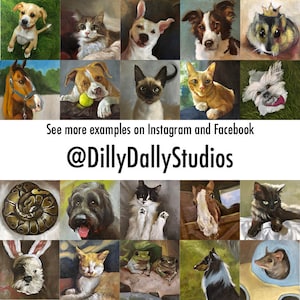 May include: A collection of oil paintings featuring various animals, including dogs, cats, a horse, and a hamster. The artwork showcases detailed portraits with vibrant colors and textures. The text "See more examples on Instagram and Facebook @DillyDallyStudios" is also visible.