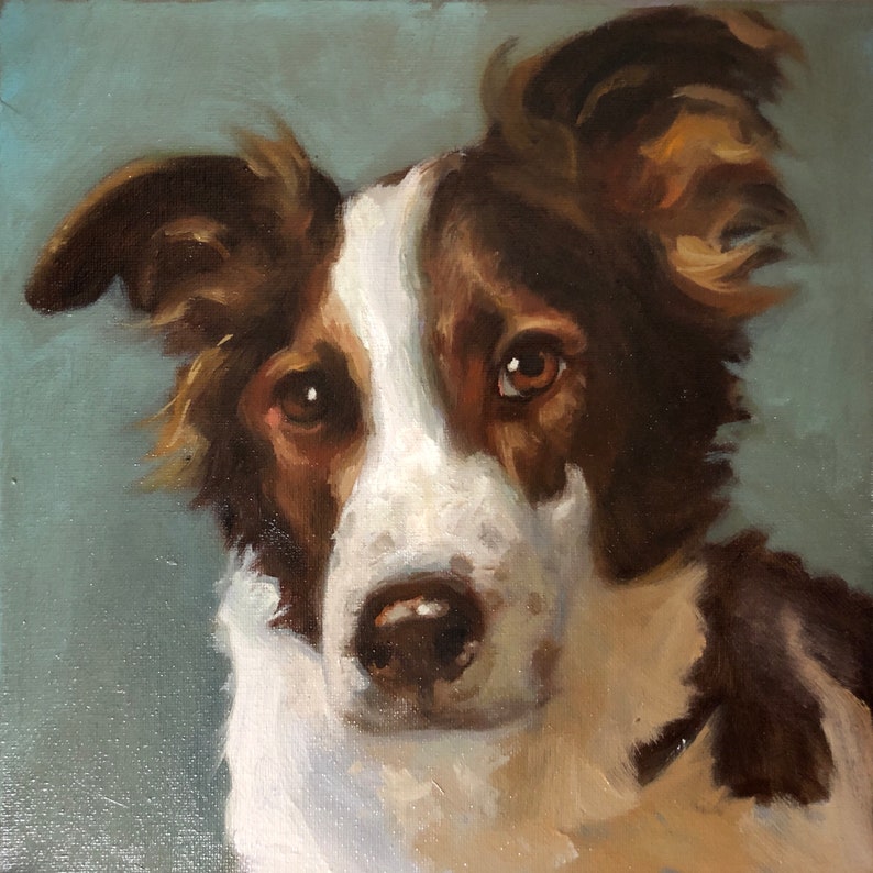May include: Oil painting of a Border Collie dog with brown and white fur, and brown eyes. The dog's head is centered in the frame against a light blue background. The dog's fur is painted with visible brushstrokes.