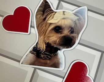 Custom Shaped Fridge Magnet Photo Prints | Turn your pet family and special moment to fridge magnets | custom printing gift