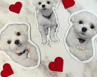 Custom Pet Portrait Photo Magnets | Shaped Memory Fridge Magnets