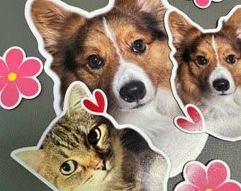 Custom Pet Portrait Photo Magnets | Shaped Memory Fridge Magnets