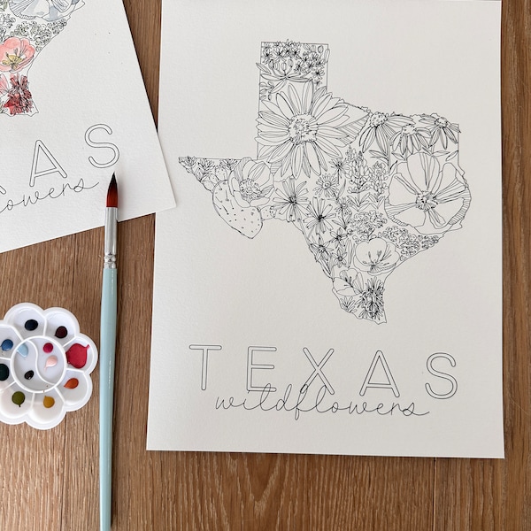 Texas State DIY Watercolor Kit - DIY Paint Kit - Date Night Paint Night - Learn to Paint - Adult Art kit - Christmas Gift for Creatives