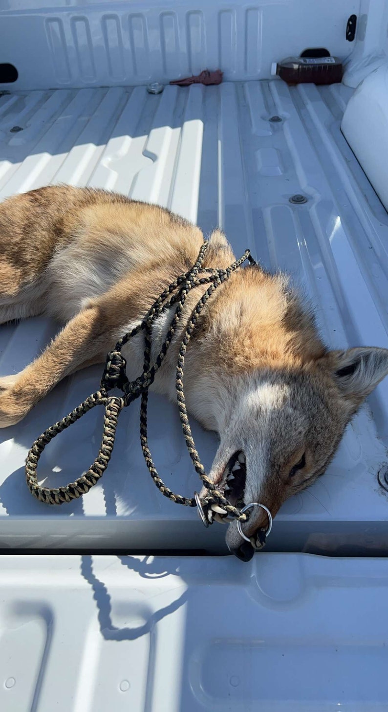 Predator Drag Coyote Drag Paracord Etsy