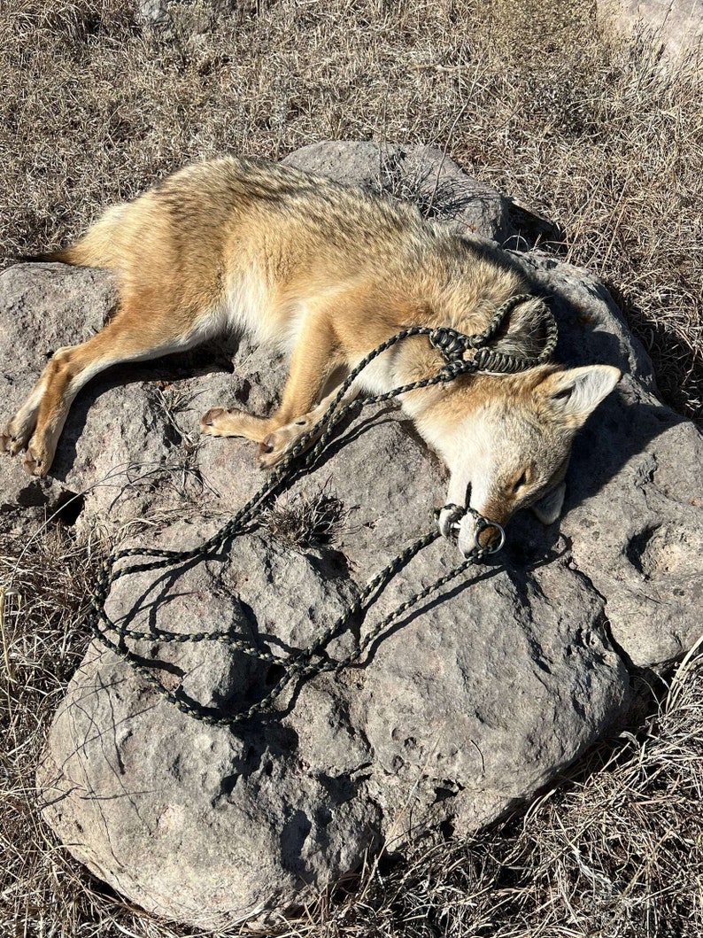 Predator Drag Coyote Drag Paracord Etsy