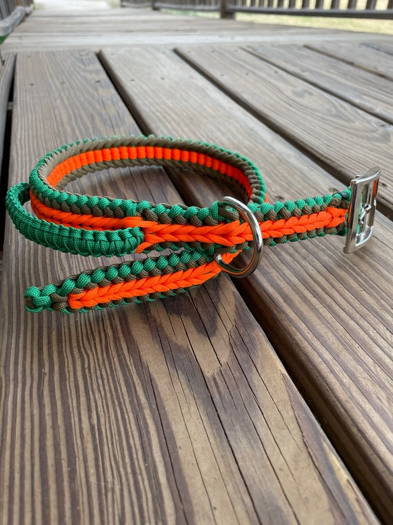 Dog collar hot sale with grab handle