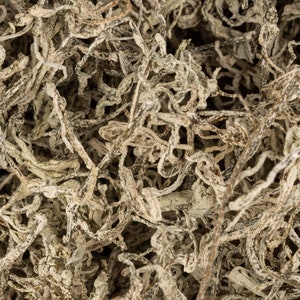 Baies Blanches cristallines sucrées du Hunan – 张家界莓茶 – Zhang Jia Jie Mei Cha