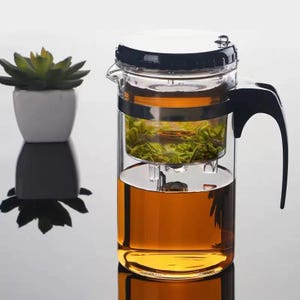 Théière &quot;la voyageuse&quot; en Verre KAMJOVE - Capacité 500 ml pour Infuser Thés et Plantes en Douceur ou en Corsé