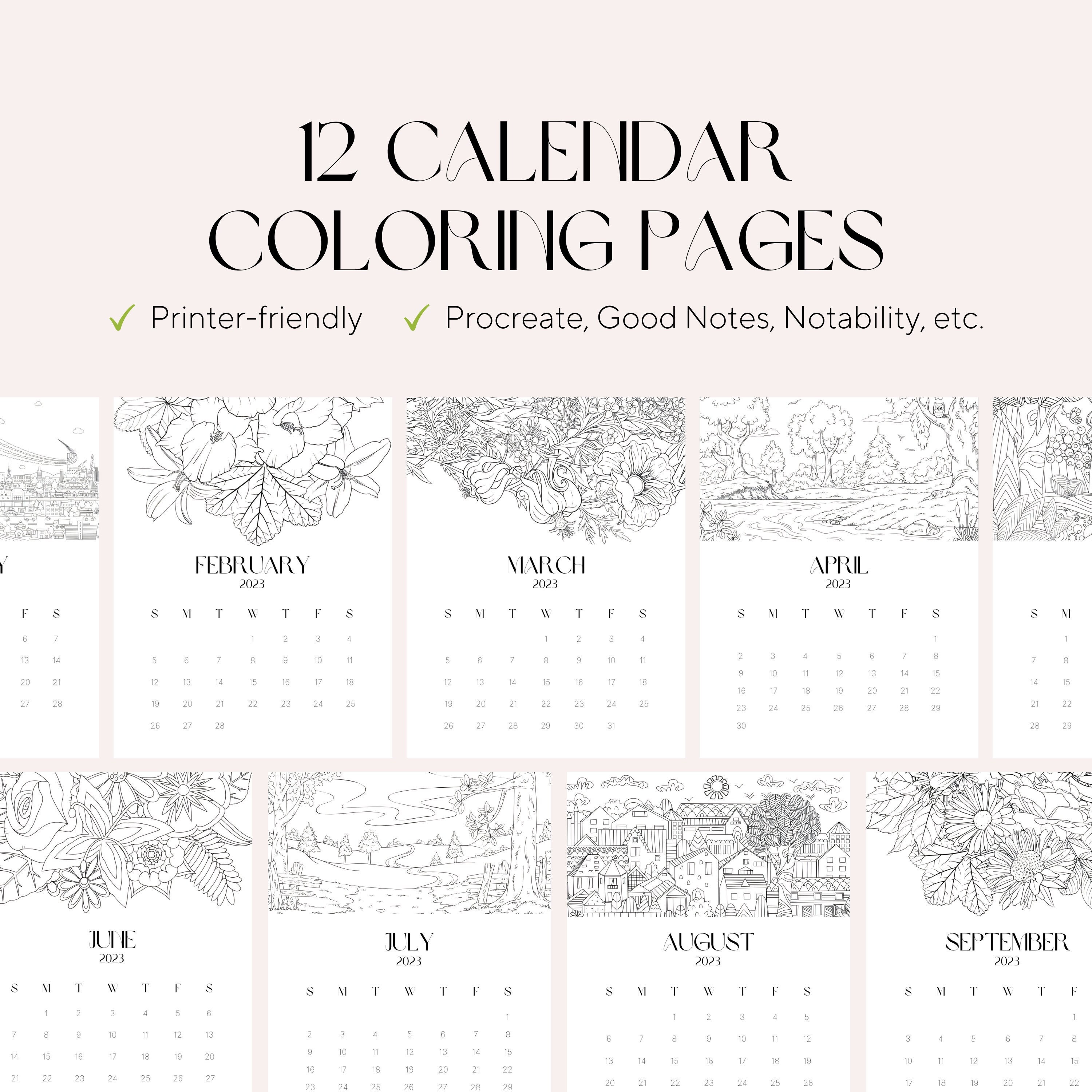 Daily Coloring Planner Printable 2024 Calendar Adult Coloring 2