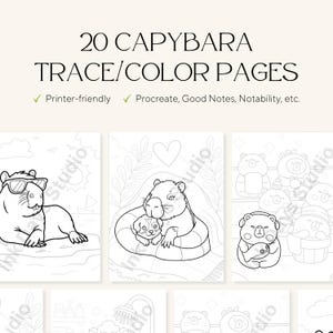 May include: A set of 20 capybara trace and colour pages. The pages display line art illustrations of capybaras in different scenes, including one wearing sunglasses. Text includes "Printer-friendly" and "Procreate, Good Notes, Notability, etc."