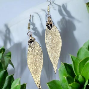 Gold Plated Leaf Earrings