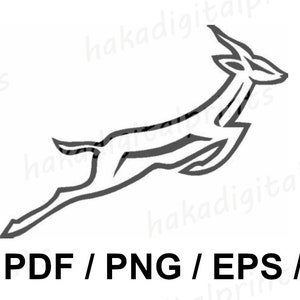 Springbok digital image