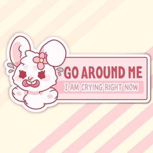 PREORDER*** Matte sticker - Bunny - Bumper Sticker - Go around me I'm crying right now - Decal - Kawaii - Cute - Vinyl Waterproof - Car Auto
