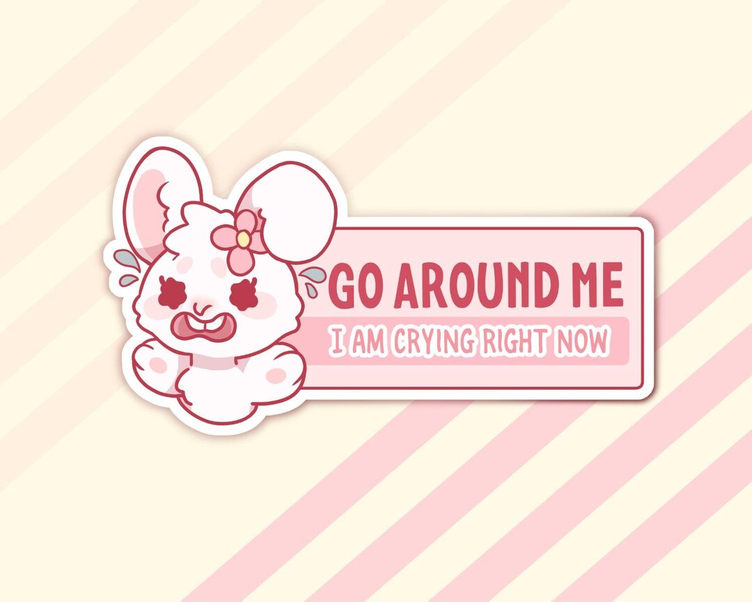 PREORDER*** Matte Sticker - Bunny - Bumper Sticker - Go Around Me I'm ...
