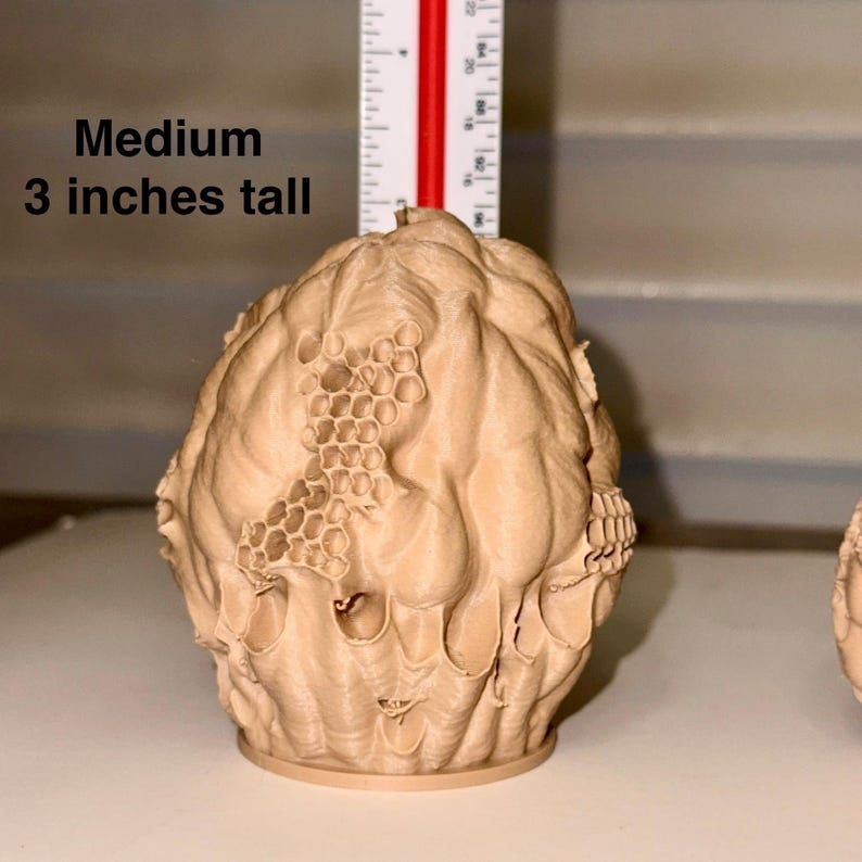 Peut inclure: Objet d&eacute;coratif beige de taille moyenne, d'environ 7,6 cm de haut, avec une surface textur&eacute;e. Il pr&eacute;sente un motif en nid d'abeille et une base arrondie. Le texte "Medium 3 inches tall" est visible.