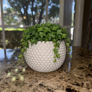 May include: A white, round ceramic planter with a textured, honeycomb-like pattern, filled with green ivy. The ivy spills over the sides of the planter. The planter sits on a brown marble-patterned surface.