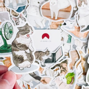 10 Random Cat Memes Funny Meme Sticker Bomb Pack! Waterproof Reusable VIYNL Stickers! Anime Cartoon Journal Scrapbook Planner Sticker!